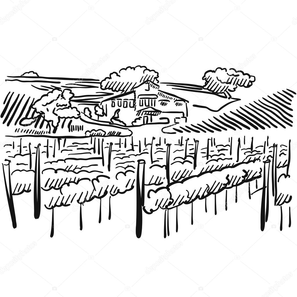 1024x1024 Californian Vineyard With Hills And House Stock Vector Mail