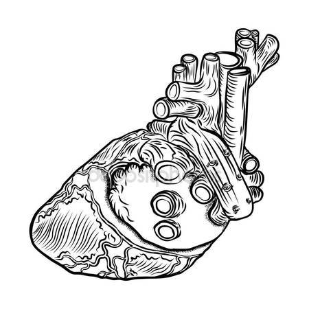 450x450 Monkey Holding Tibia. Vintage Black Engraving Stock Vector