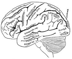 236x194 Vintage Graphic Image