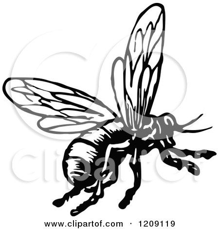 450x470 Clipart Of A Vintage Black And White Flying Bee