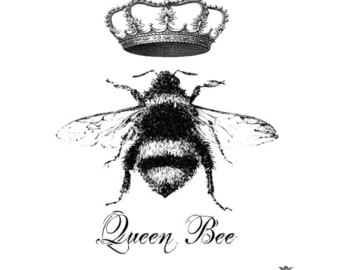 340x270 The Vintage Hare Tattoo Rabbit Tatoo Vintage Rabbit Tattoo