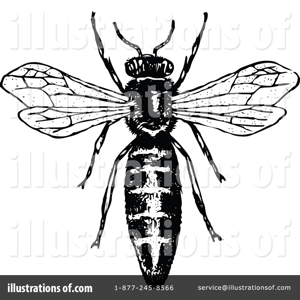 1024x1024 Bee Clipart