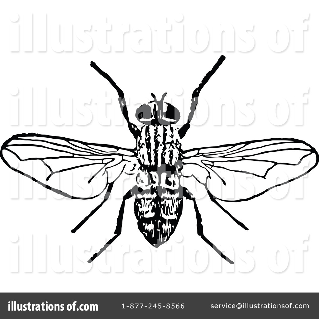 1024x1024 Bee Clipart