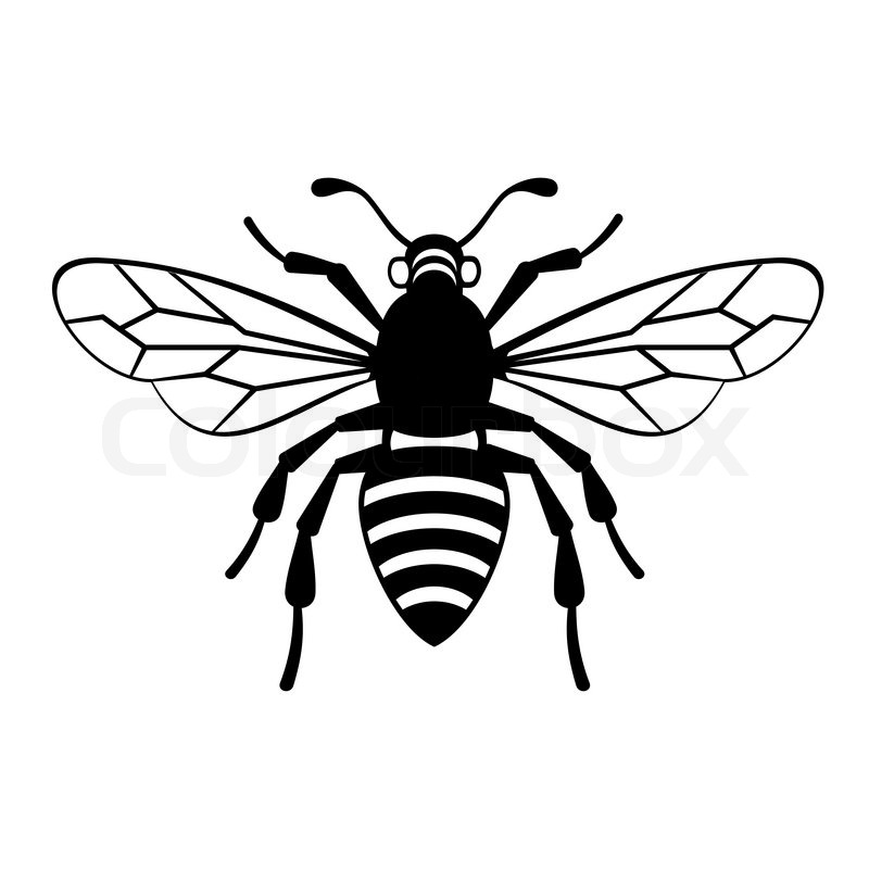 800x800 Bee Icon On White Background Vector Illustration Stock Vector