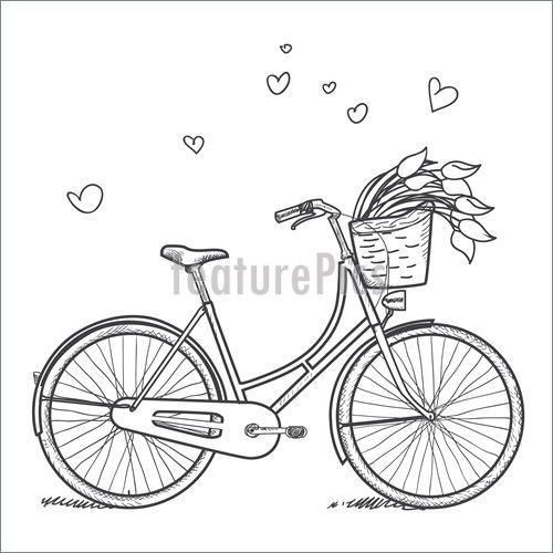 500x500 Vintage Bicycle With Flowers Illustration