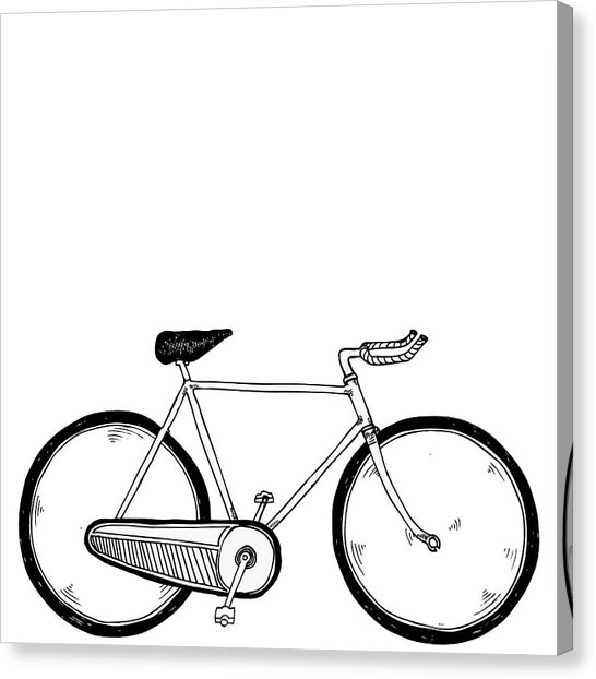 546x622 Vintage Bike Drawing By Karl Addison