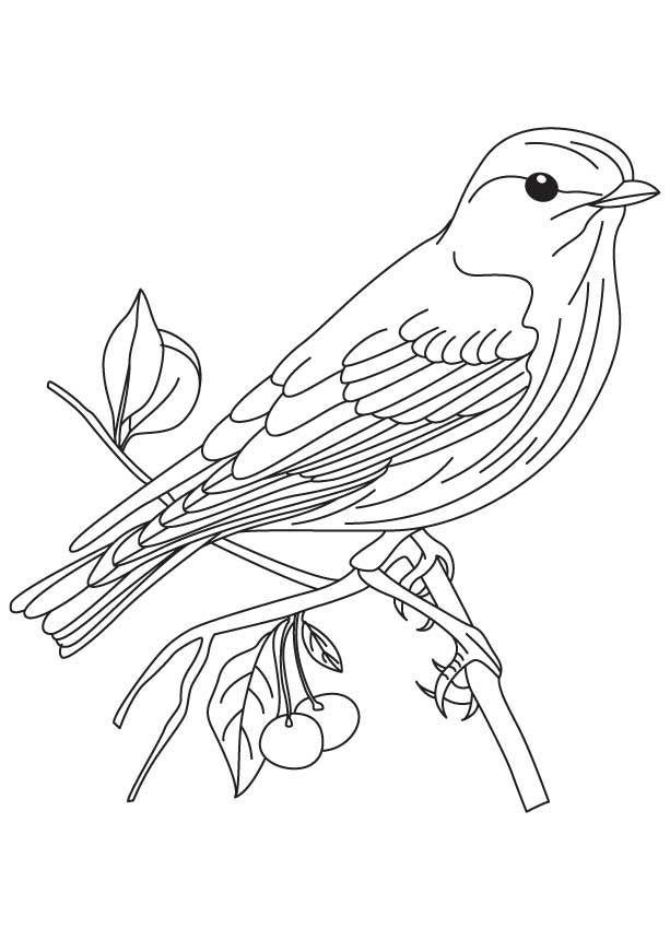 613x860 Coloring Pages Bird Vintage Bird Coloring Pages
