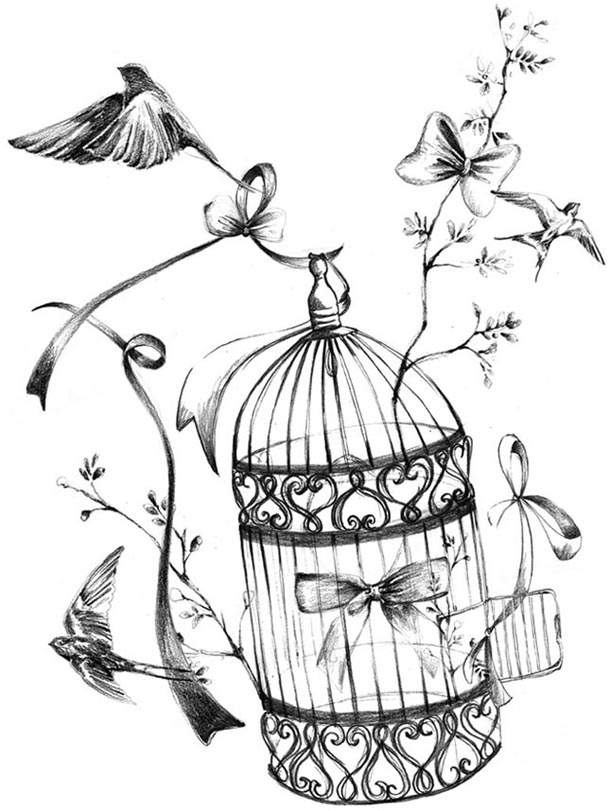 610x811 Pretty Birdcage