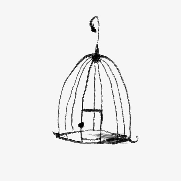 591x591 Birdcage, Iron Wire, Iron Png And Psd File For Free Download