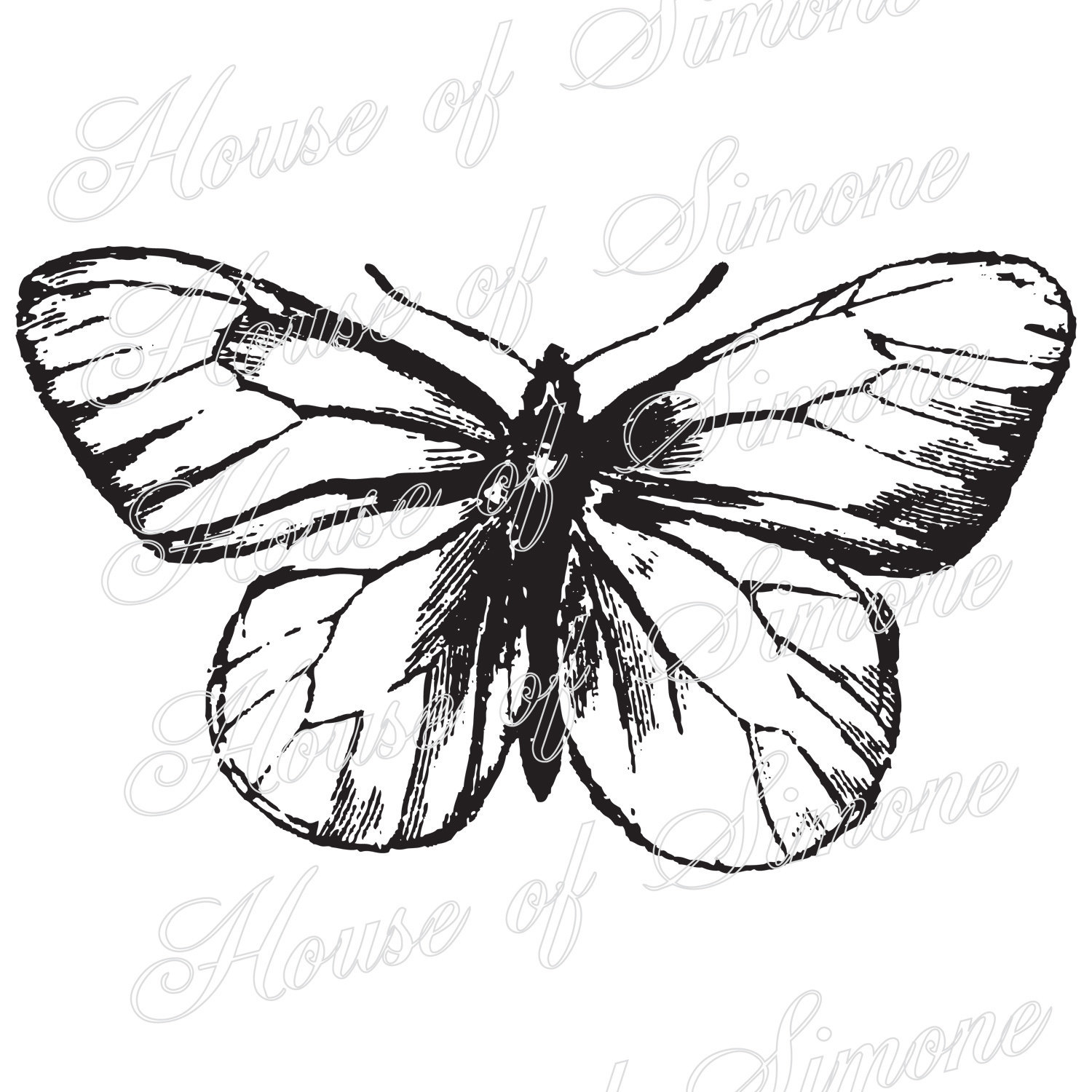 1500x1500 Butterfly Moth Insect Wings Vintage Download Graphic Image Art