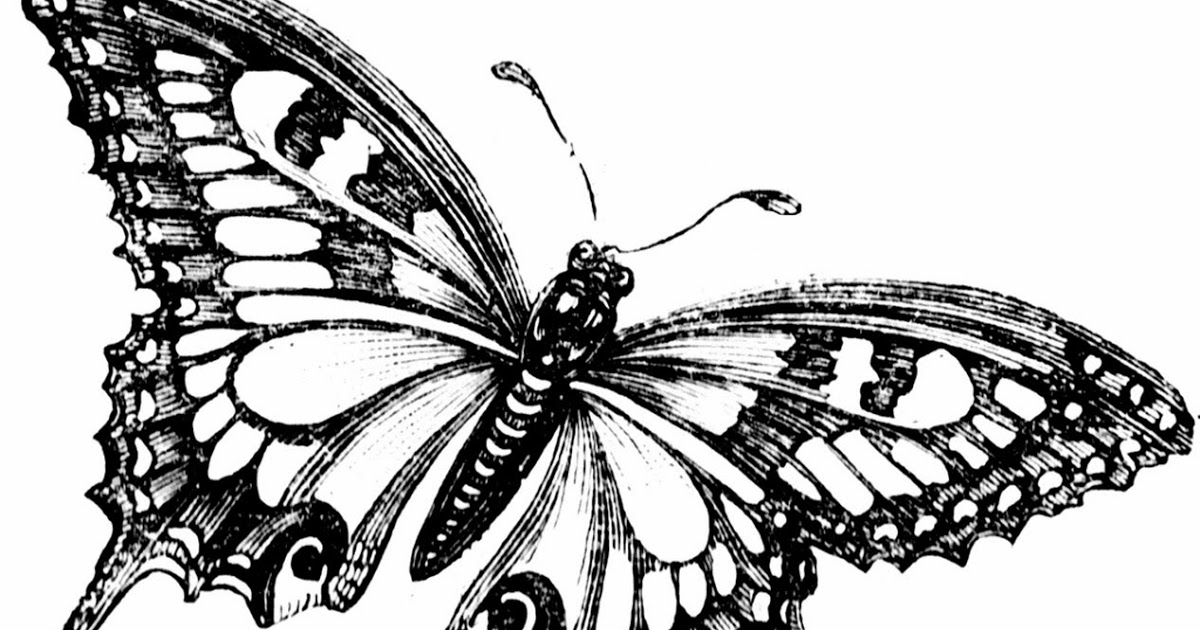 1200x630 Free Vintage Digital Stamps Free Vintage Digital Stamp