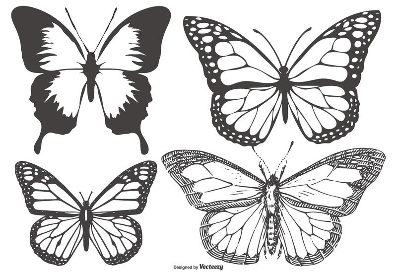 800x560 Vintage Butterflymariposa Collection
