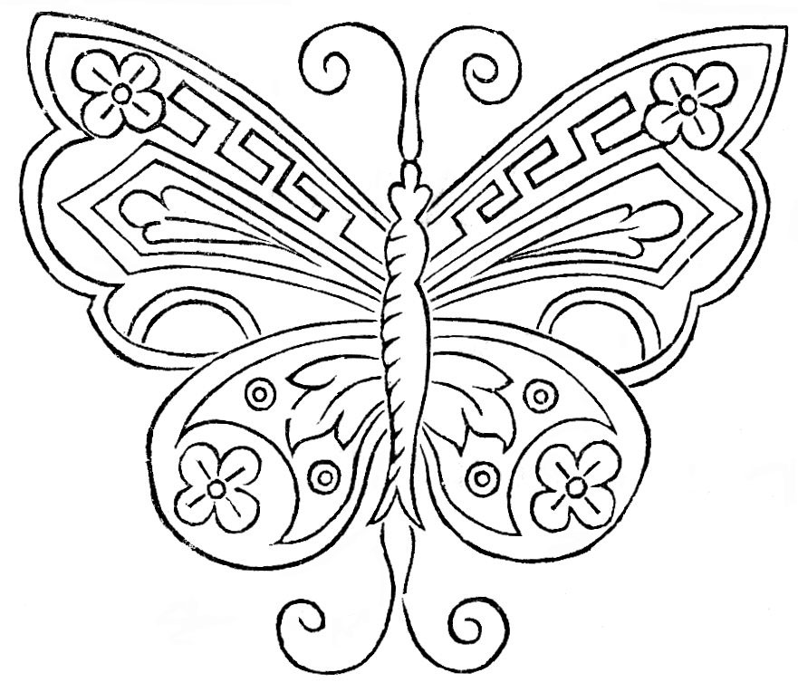 881x764 Butterfly Coloring Page Archives