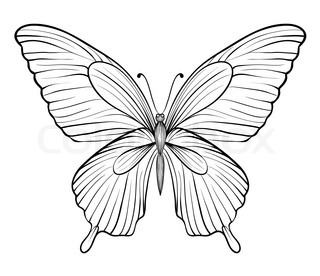 320x276 Beautiful Vintage Butterfly Isolated On White Background. Hand