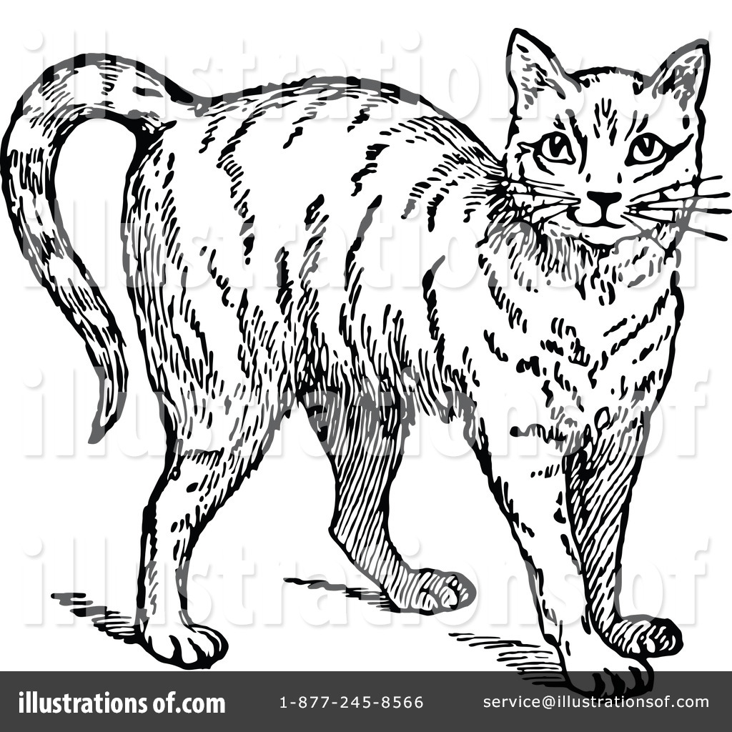 1024x1024 Cat Clipart