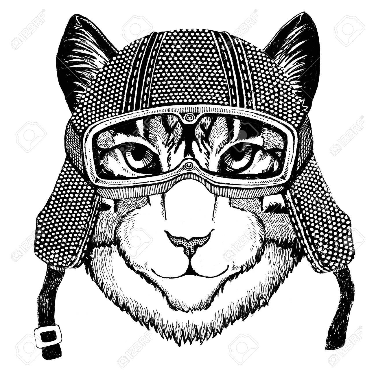 1300x1300 Image Of Domestic Cat Wearing Vintage Motorcycle Helmet Tattoo