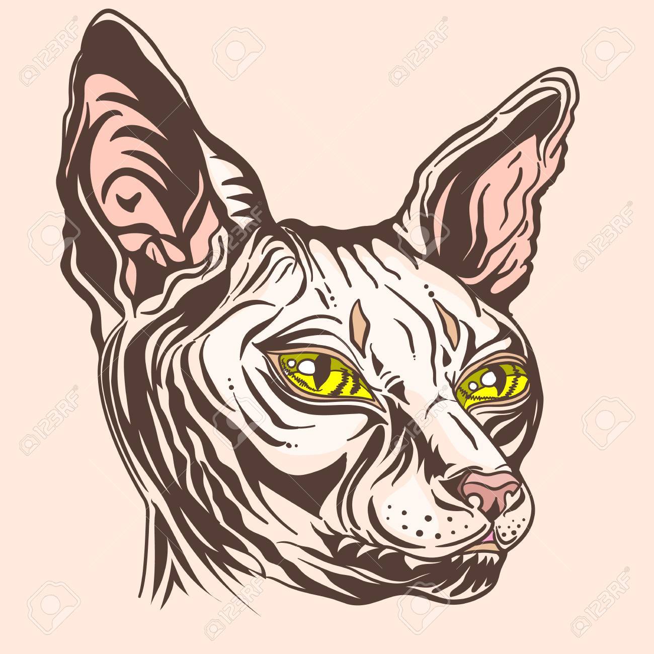 1300x1300 Sphinx Cat Vector Illustration Tattoo Style. Skinny Cat. Portrait
