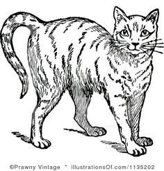 236x247 User Created Design What Is Chanmart Smoking