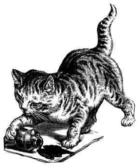 286x343 Vintage Cat Images