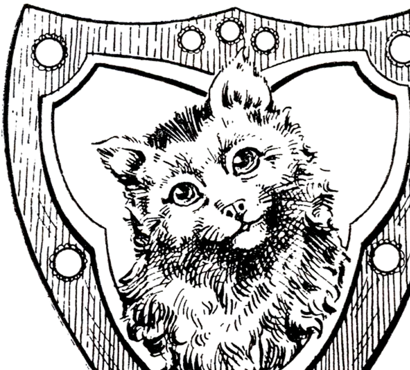 1420x1284 Vintage Cat Shield Image