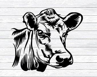 340x270 Cow Head Etsy