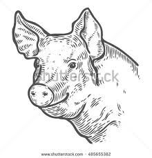 220x229 Image Result For Vintage Cow Drawing Face Chicken, Pig, Cow