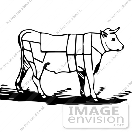 450x450 Vintage Clipart A Black And White Cow With Butcher Sections