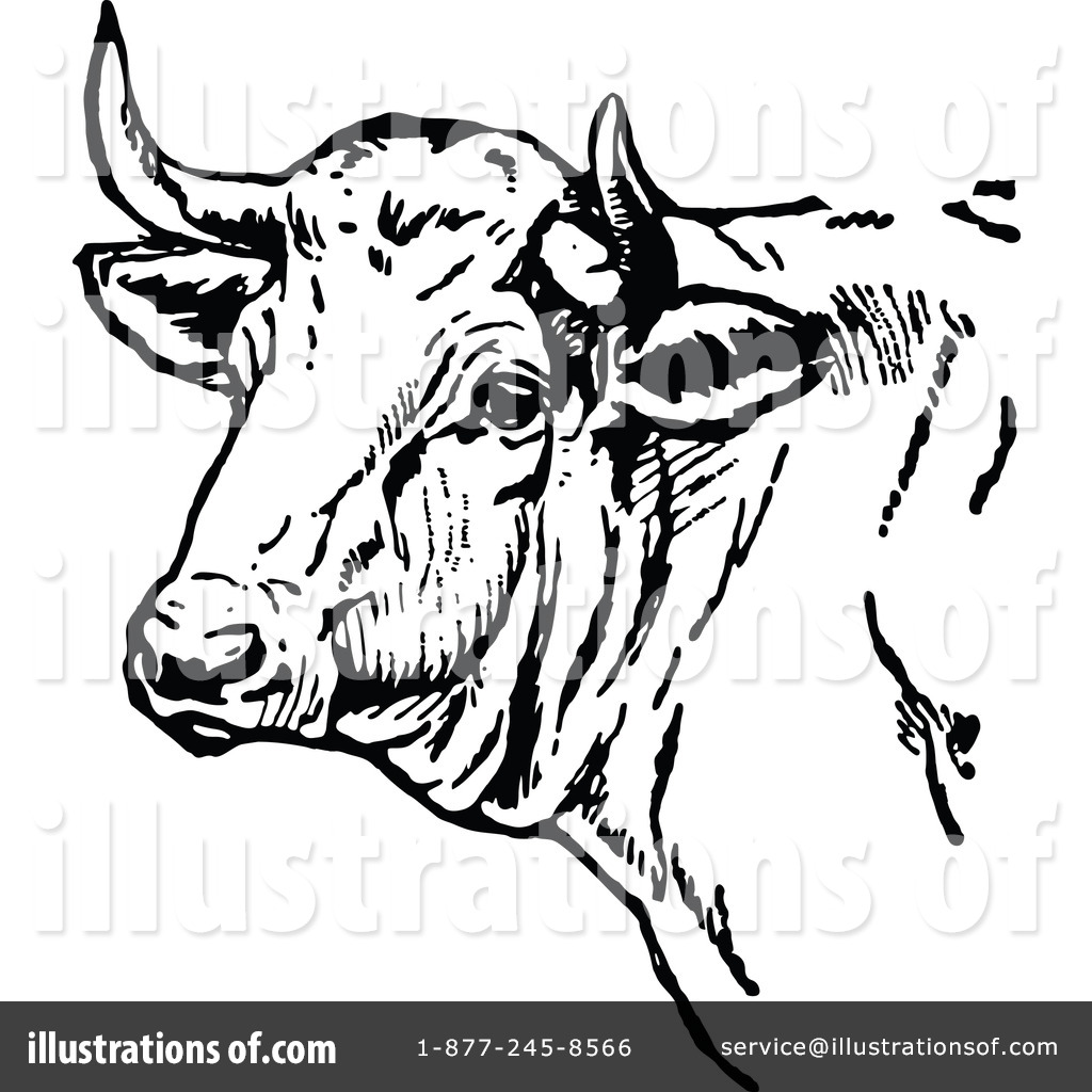 1024x1024 Vintage Clipart Cow