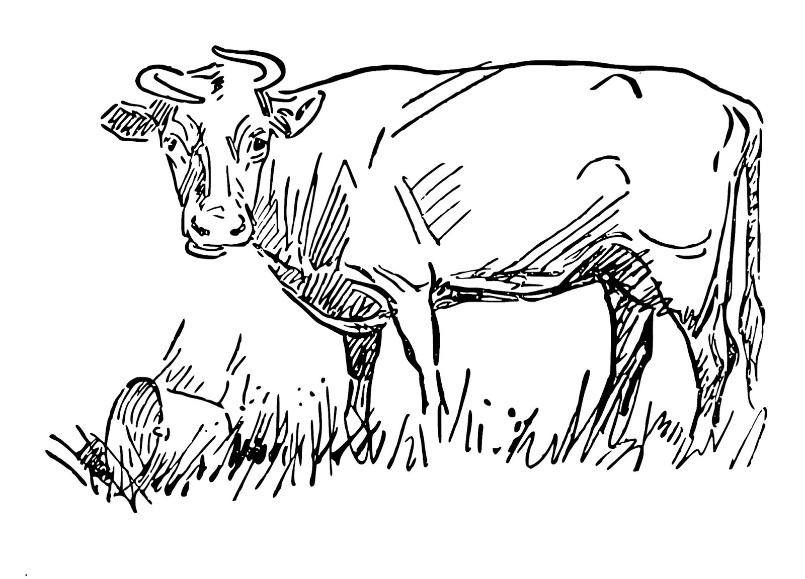 1600x1152 Httpcreatewithtlc