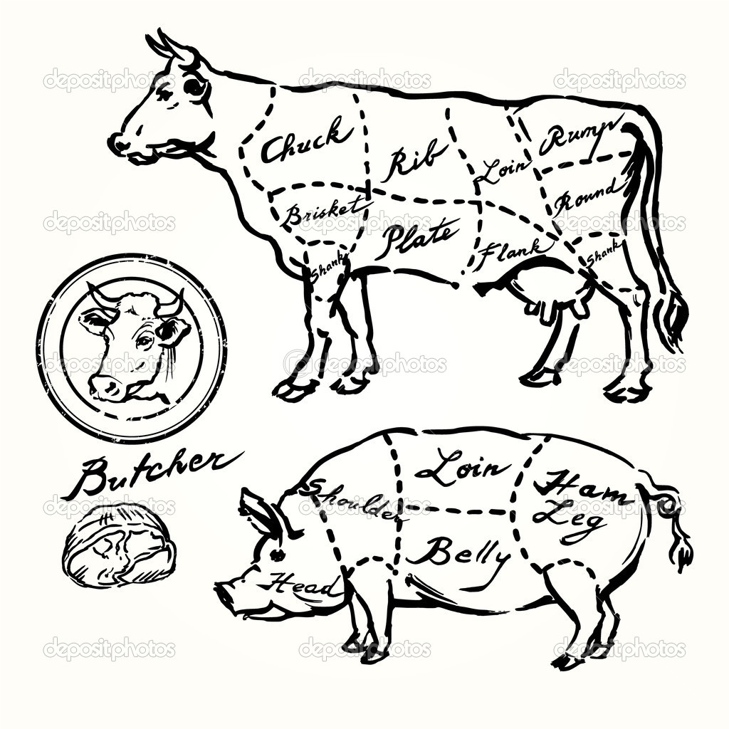 1024x1024 Vintage Pig Illustration