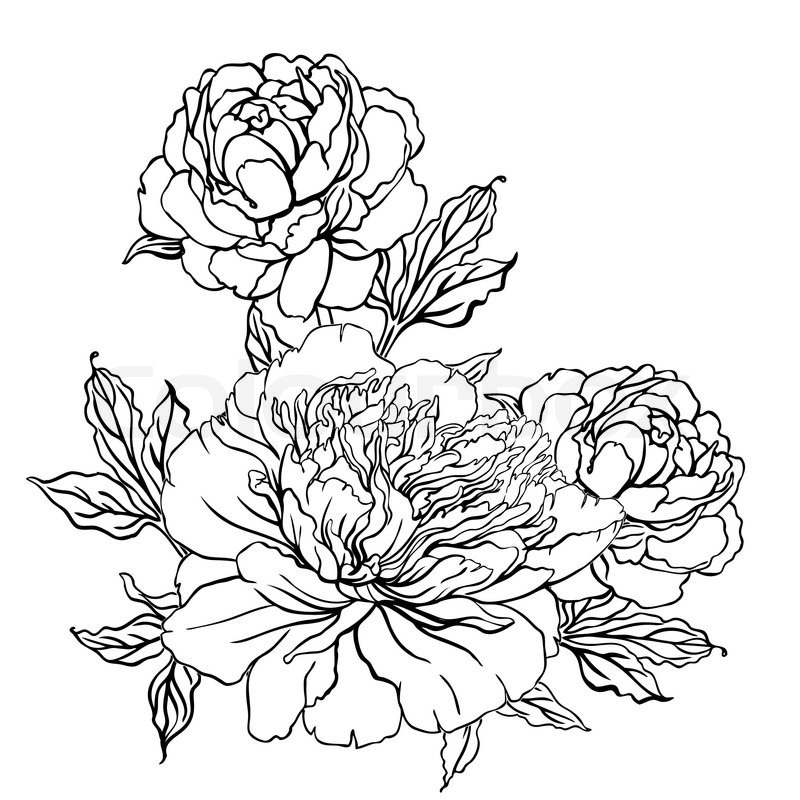 800x800 Vintage Hand Drawing Background With Flowers. Vector Illustration