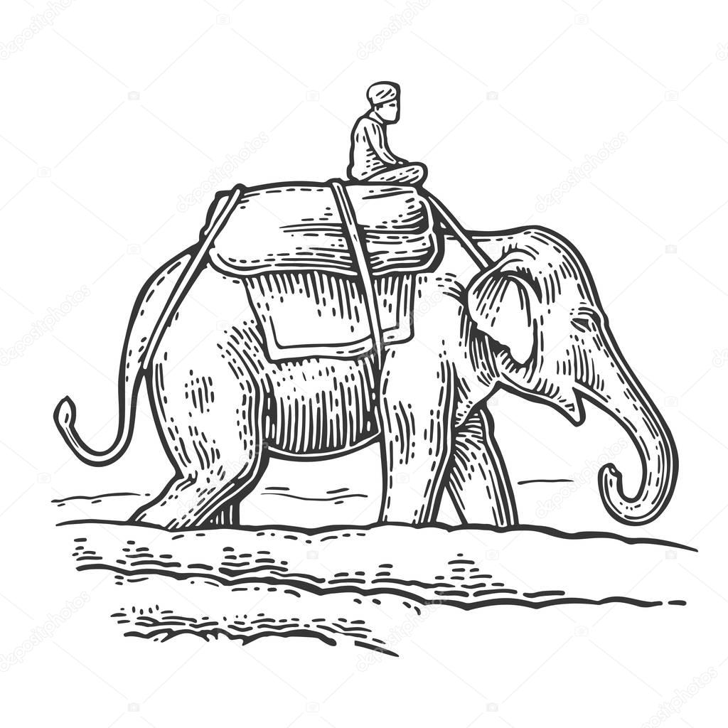 1024x1024 Rider On Elephant. Vector Engraved Vintage Stock Vector