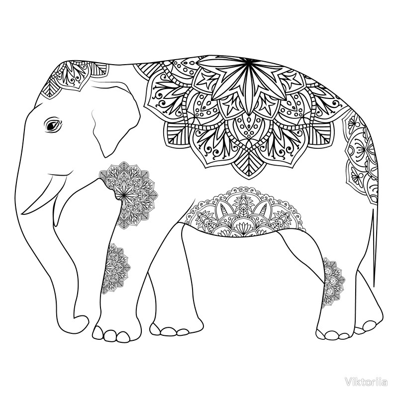 800x800 Vintage Elephant With Tribal Ornaments Canvas Prints By Viktoriia