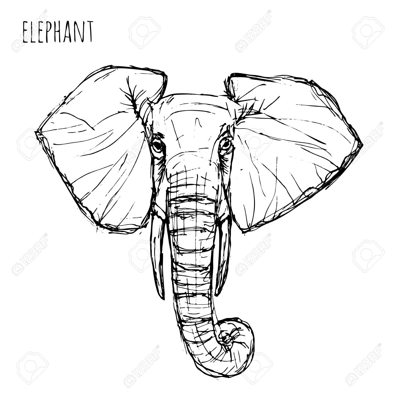 1300x1300 Wild Animal Black And White Elephant Face Drawn Pen And Ink