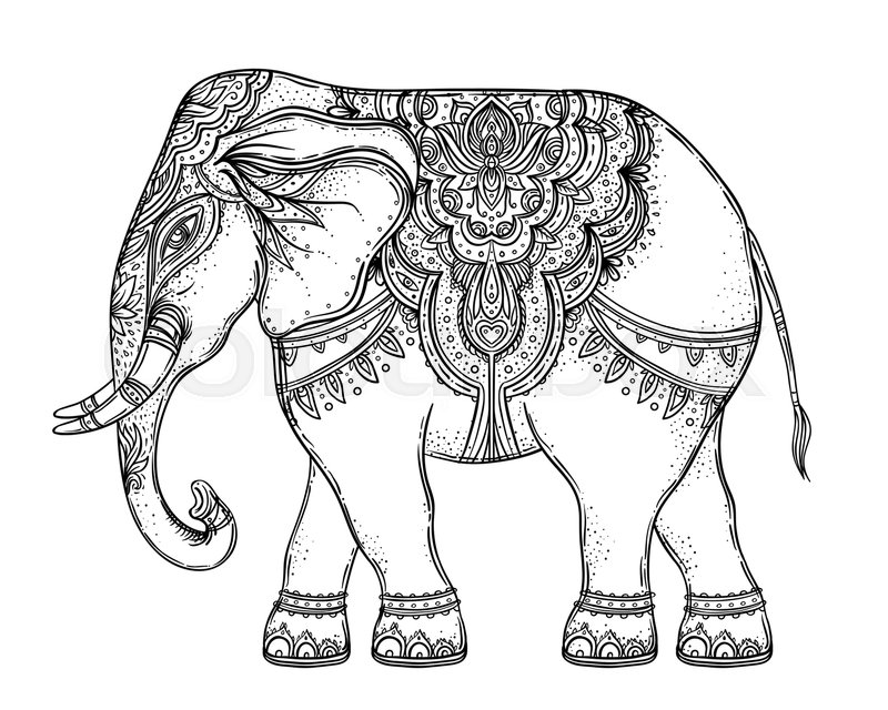 800x640 Beautiful Hand Drawn Tribal Style Elephant Over Mandala. Colorful