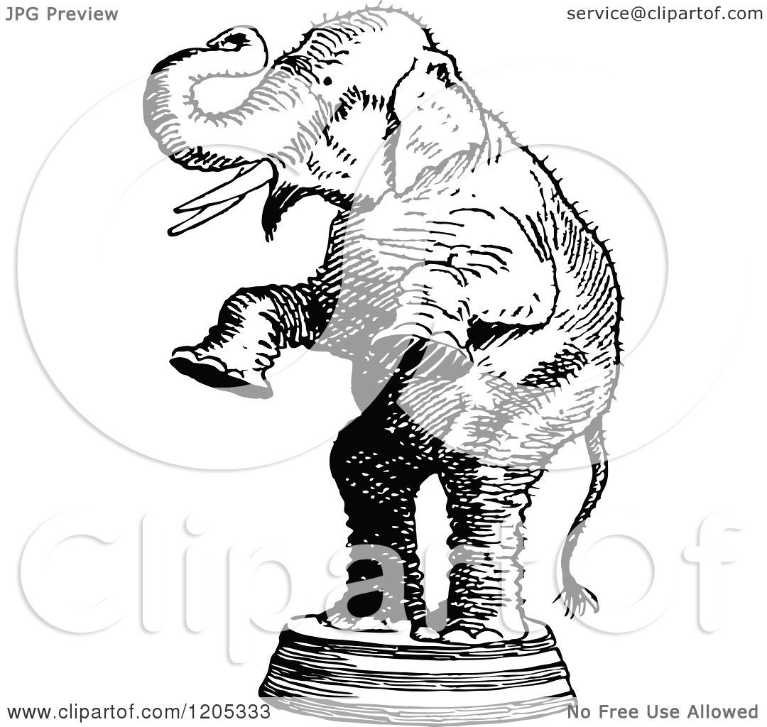 1080x1024 Cartoon Of A Vintage Black And White Standing Circus Elephant