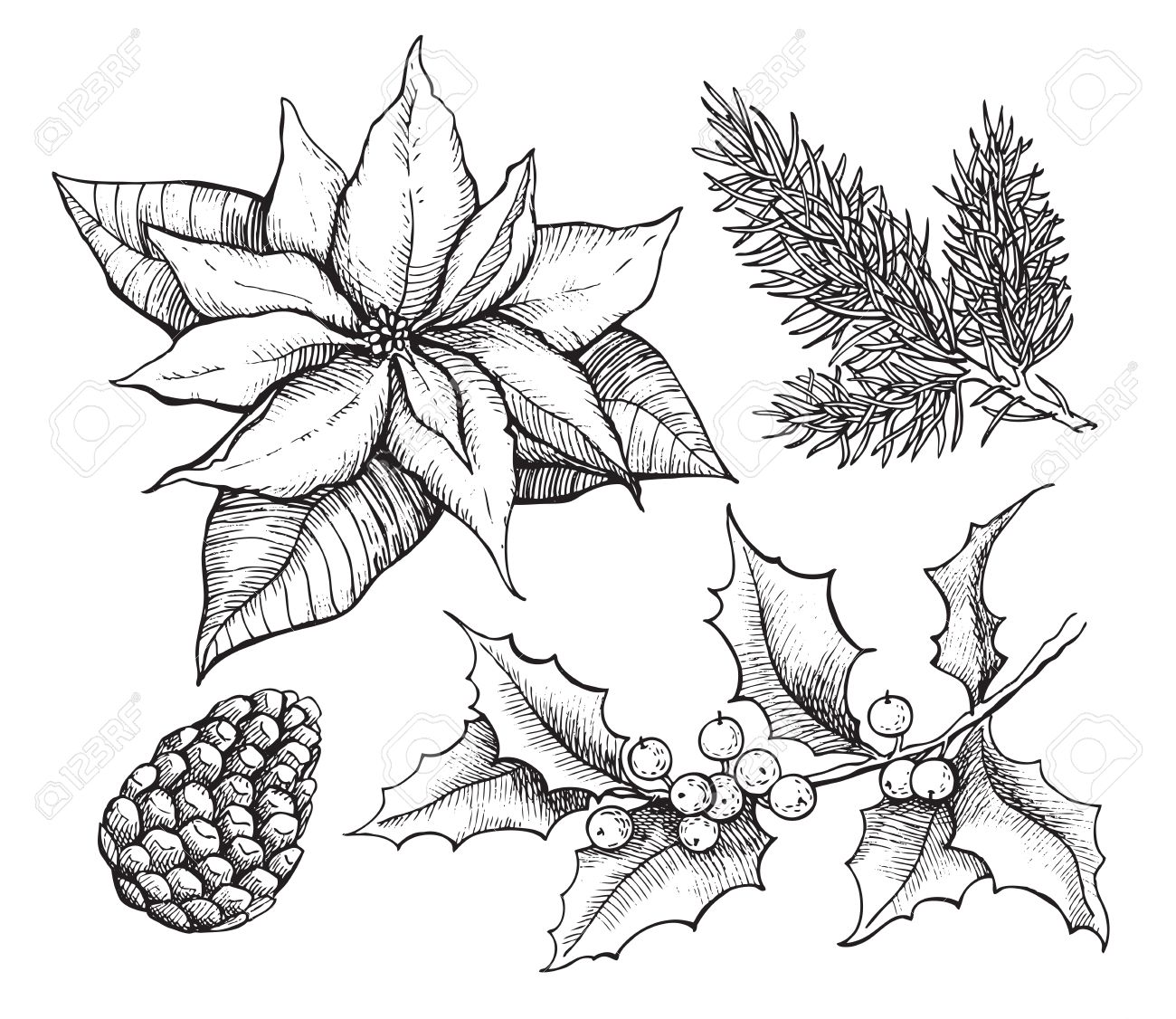 1300x1126 Hand Drawn Flower Stock Photos. Royalty Free Business Images