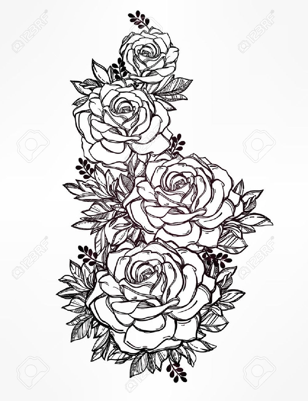 1000x1300 Vintage Floral Highly Detailed Hand Drawn Rose Flower Stem