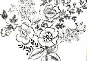 300x210 Vintage Flower Drawing