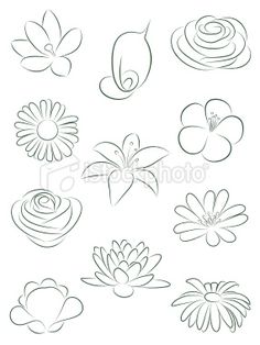 236x314 Drawn Vintage Flower Simple