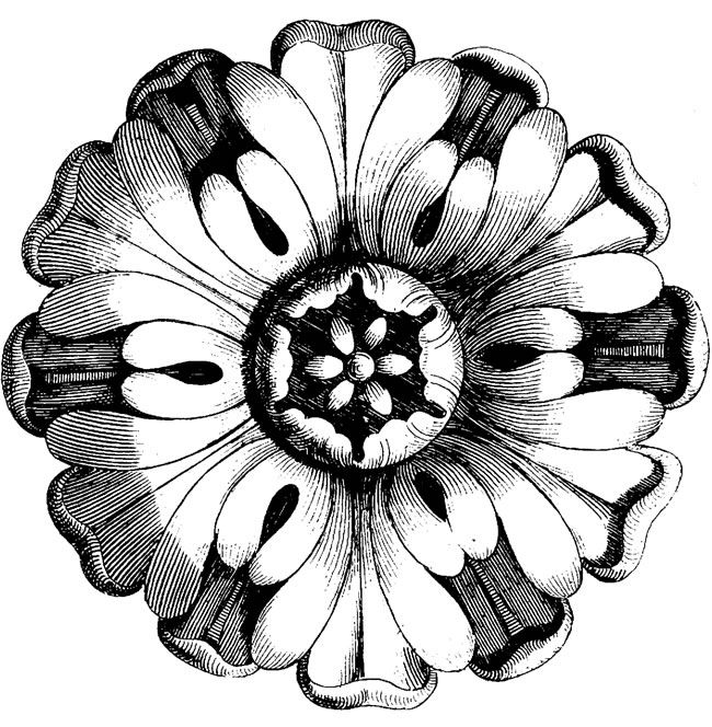 Vintage Flowers Drawing