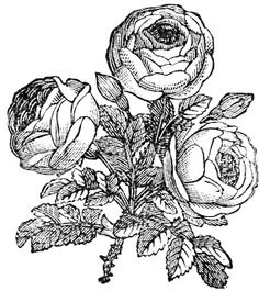 236x265 Digital Two For Tuesday 1. Country Amp Pattern