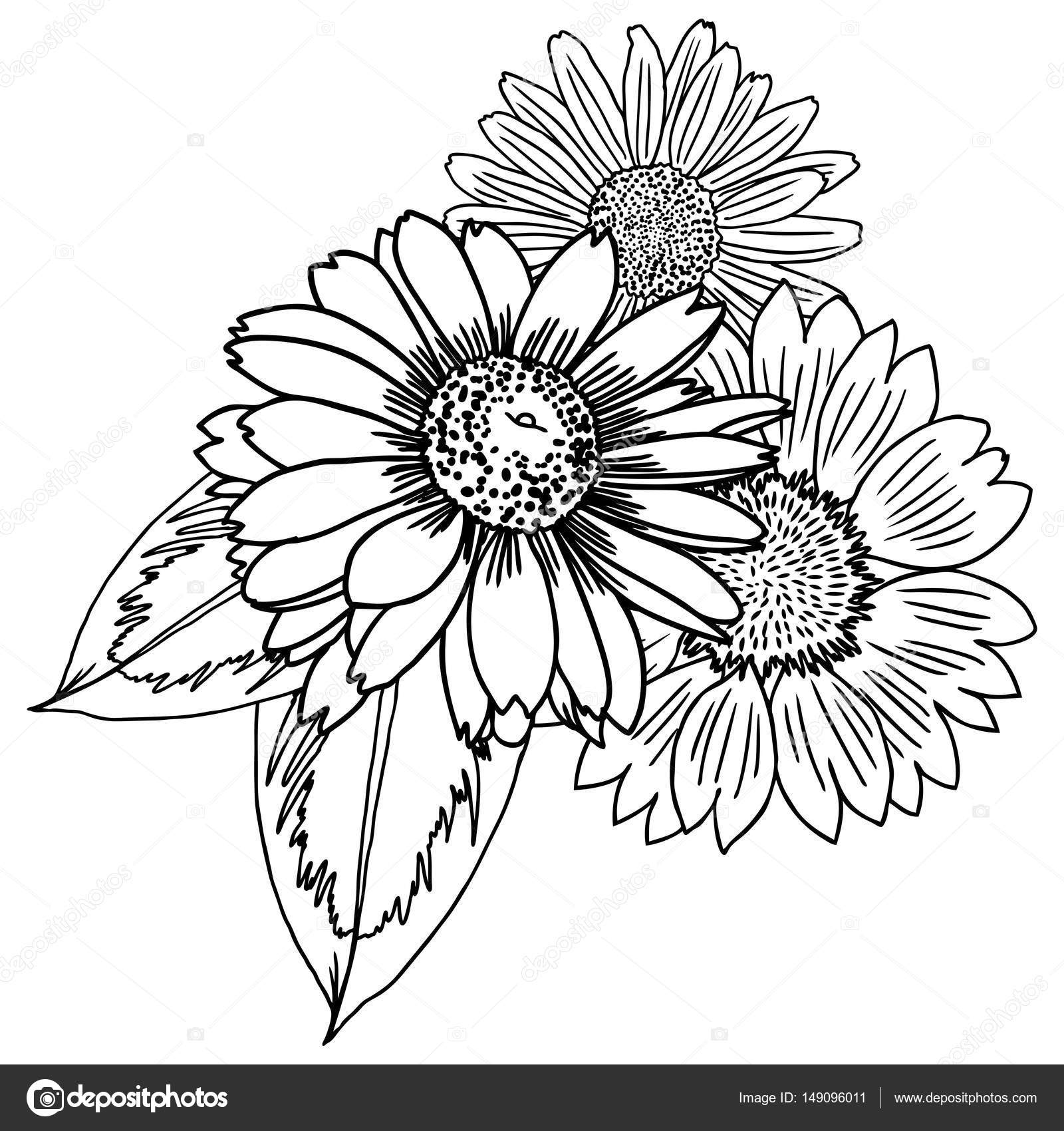 1600x1700 Vintage Garden Drawing Spring Bouquet Stock Vector
