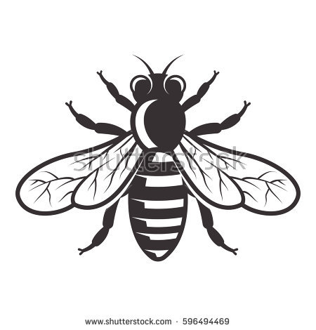 450x470 Drawn Bee Vector
