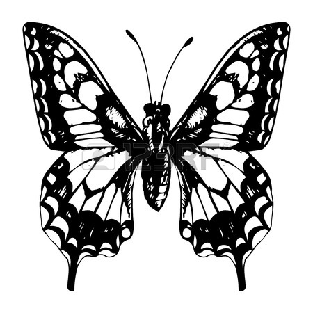 450x450 Butterflies Set, Hand Drawn Vintage Design Elements,, Line Drawing