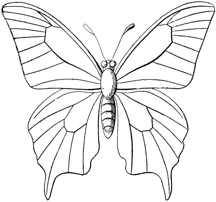 700x654 Free Butterfly Quilling Patterns Free Vintage Digital Stamp