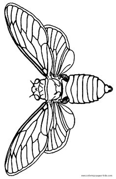 236x362 Pin By Ds Tones On Drawing Logs, Moth And Sketchbooks