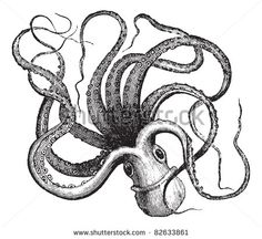 236x216 The Vintage Moth Antique Rhinoceros Image Free Clipart Image