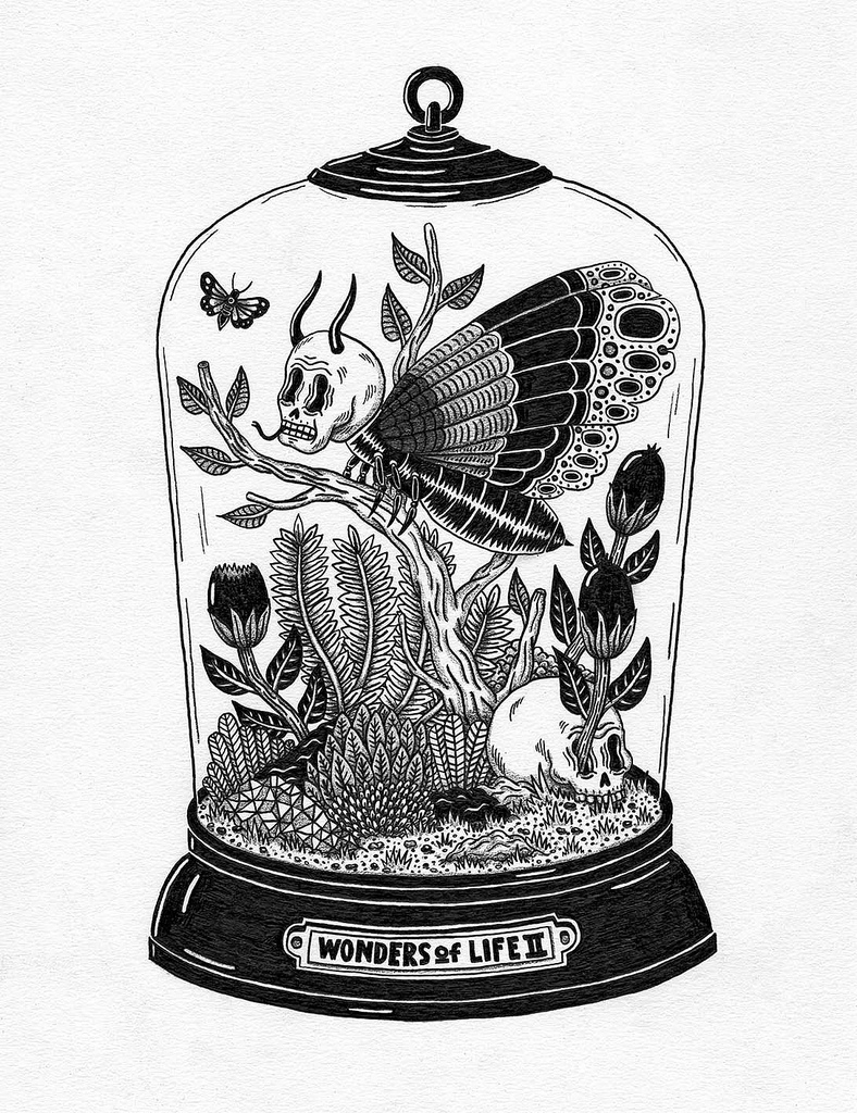 788x1024 The World's Most Recently Posted Photos By Pearpicker.