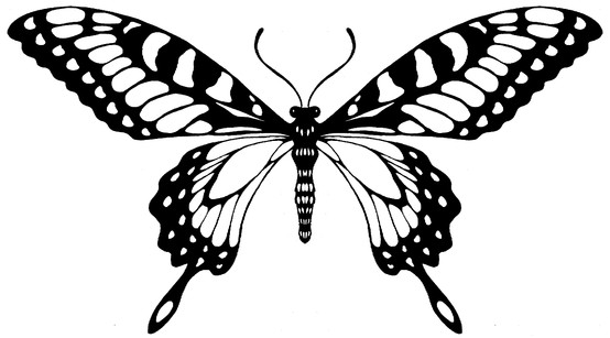 554x307 Vintage 20s Butterfly Vintage Retro Art Attack!